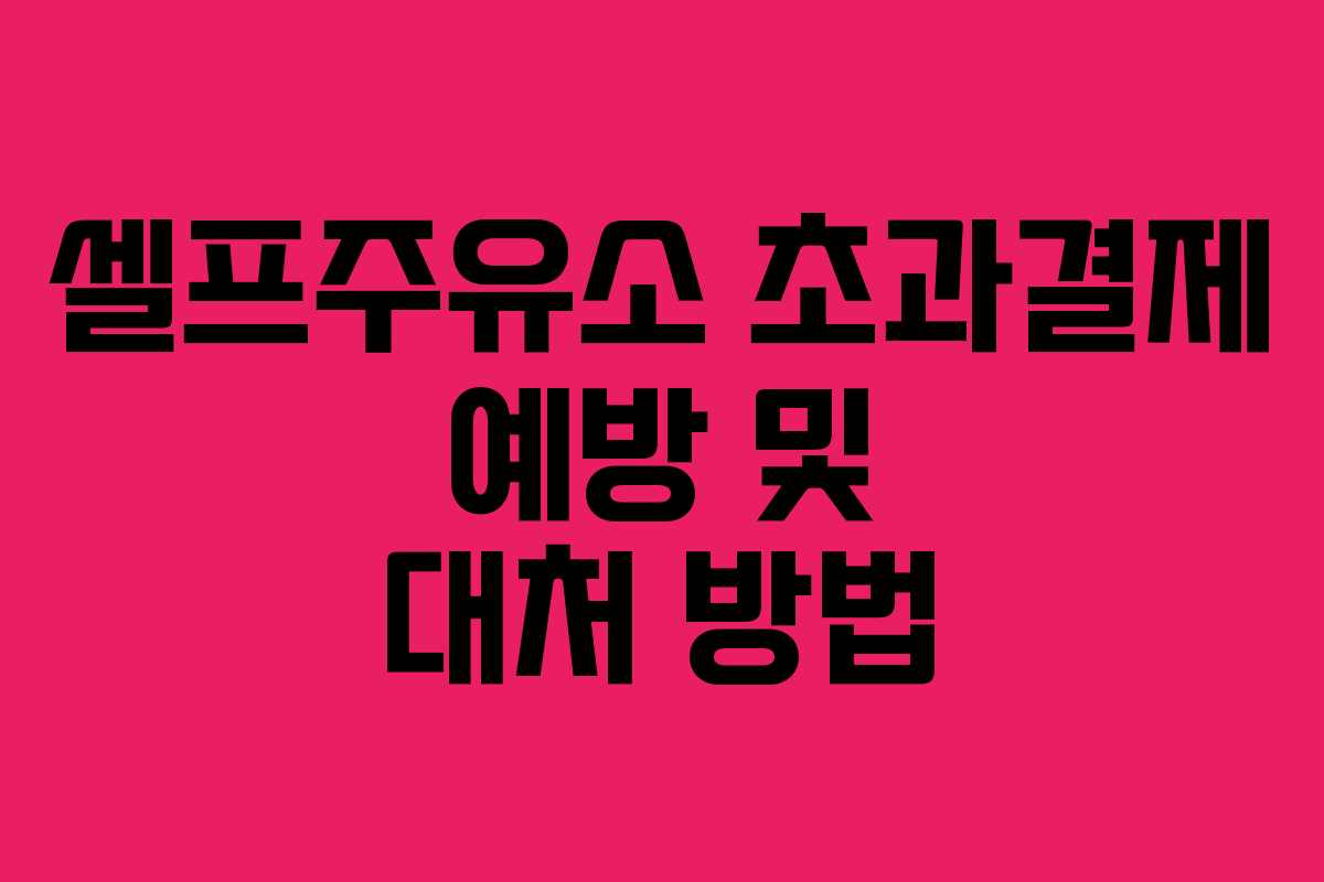 셀프주유소 초과결제 예방 및 대처 방법