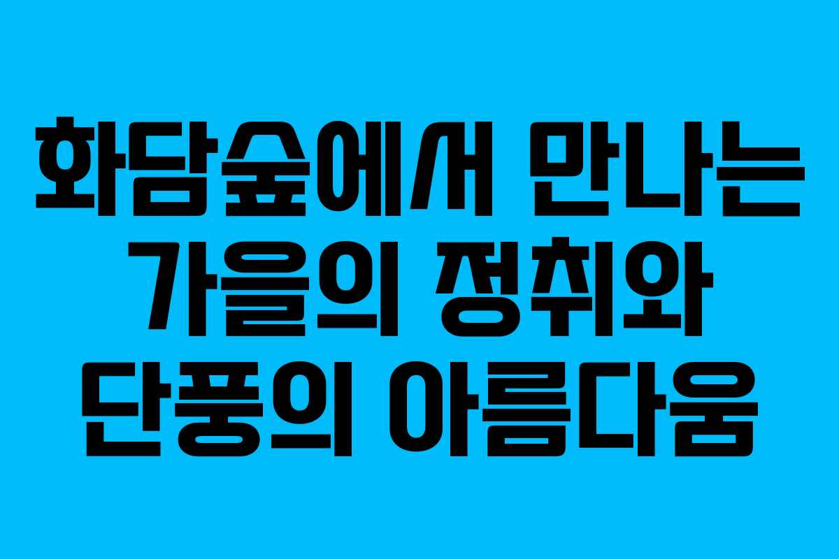 화담숲에서 만나는 가을의 정취와 단풍의 아름다움