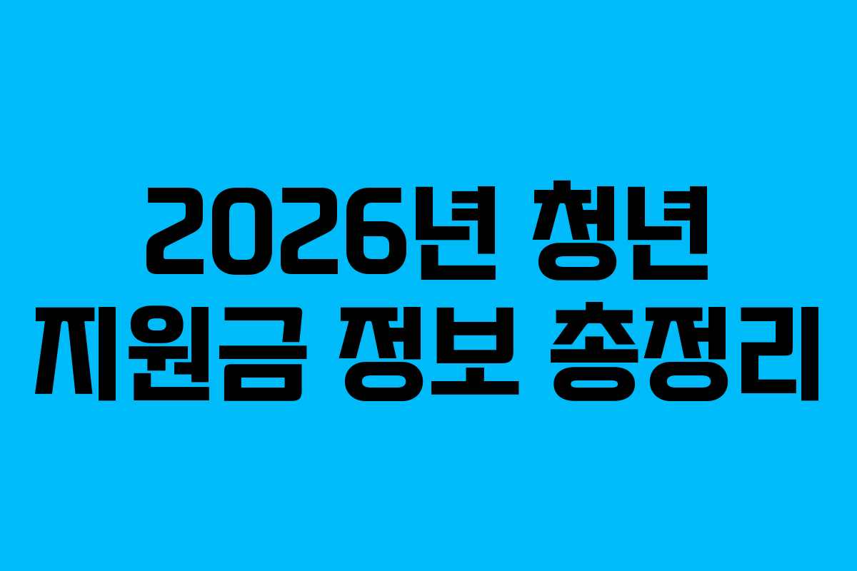 2026년 청년 지원금 정보 총정리