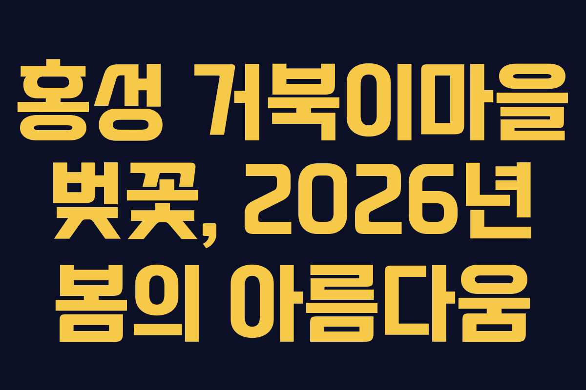 홍성 거북이마을 벚꽃, 2026년 봄의 아름다움