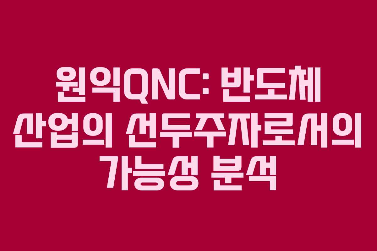 원익QNC: 반도체 산업의 선두주자로서의 가능성 분석