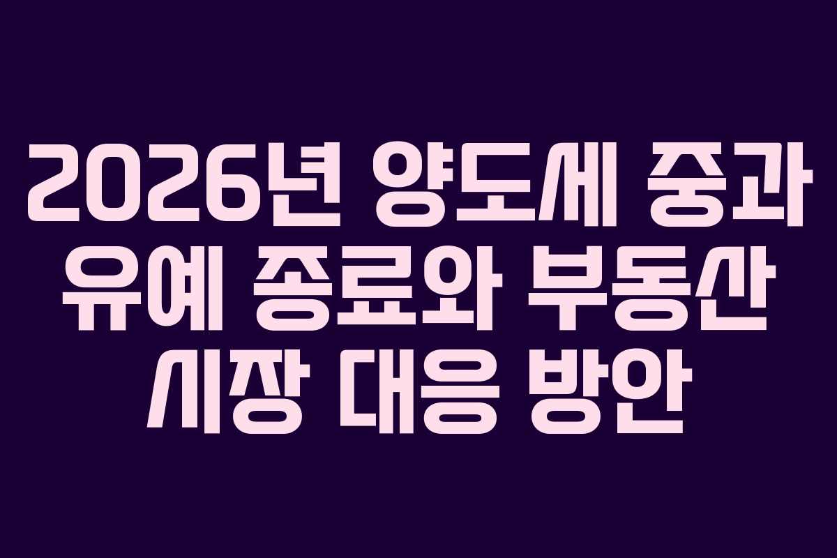 2026년 양도세 중과 유예 종료와 부동산 시장 대응 방안