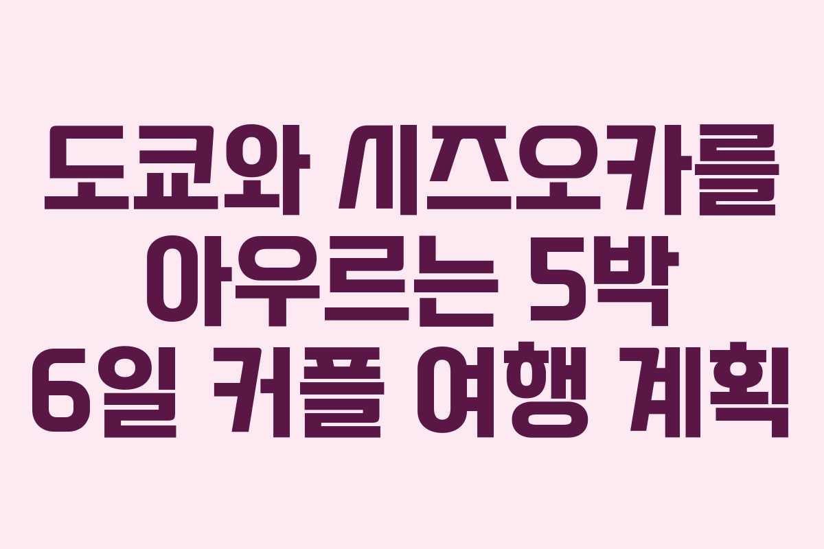 도쿄와 시즈오카를 아우르는 5박 6일 커플 여행 계획
