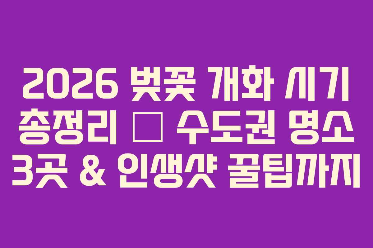 2026 벚꽃 개화 시기 총정리 – 수도권 명소 3곳 & 인생샷 꿀팁까지