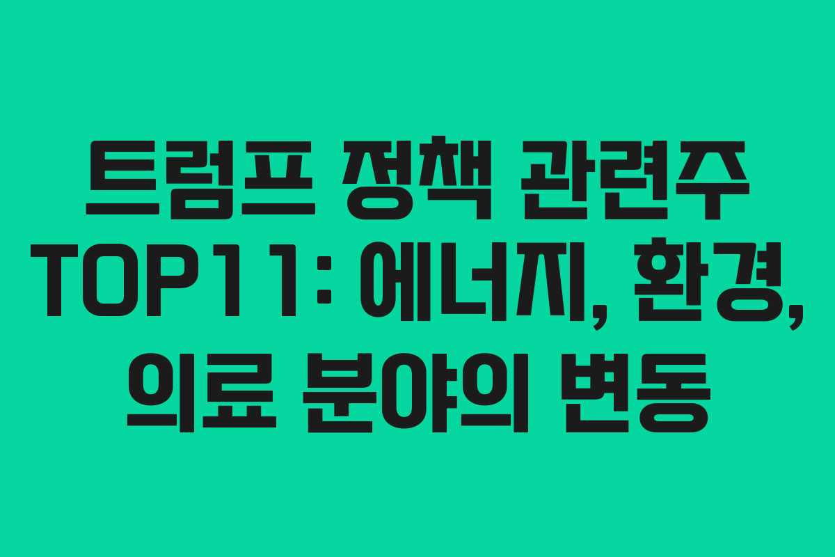 트럼프 정책 관련주 TOP11: 에너지, 환경, 의료 분야의 변동