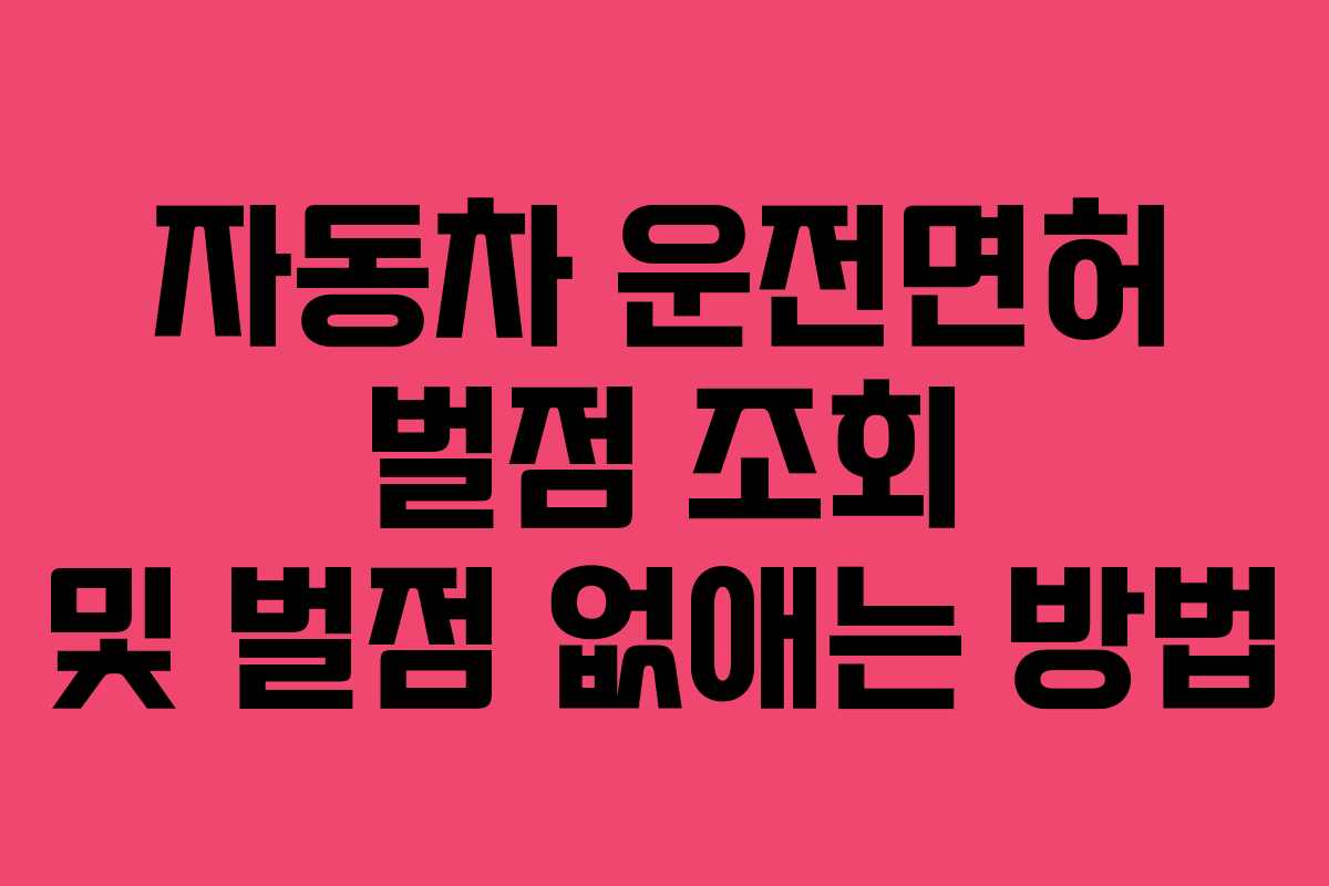 자동차 운전면허 벌점 조회 및 벌점 없애는 방법