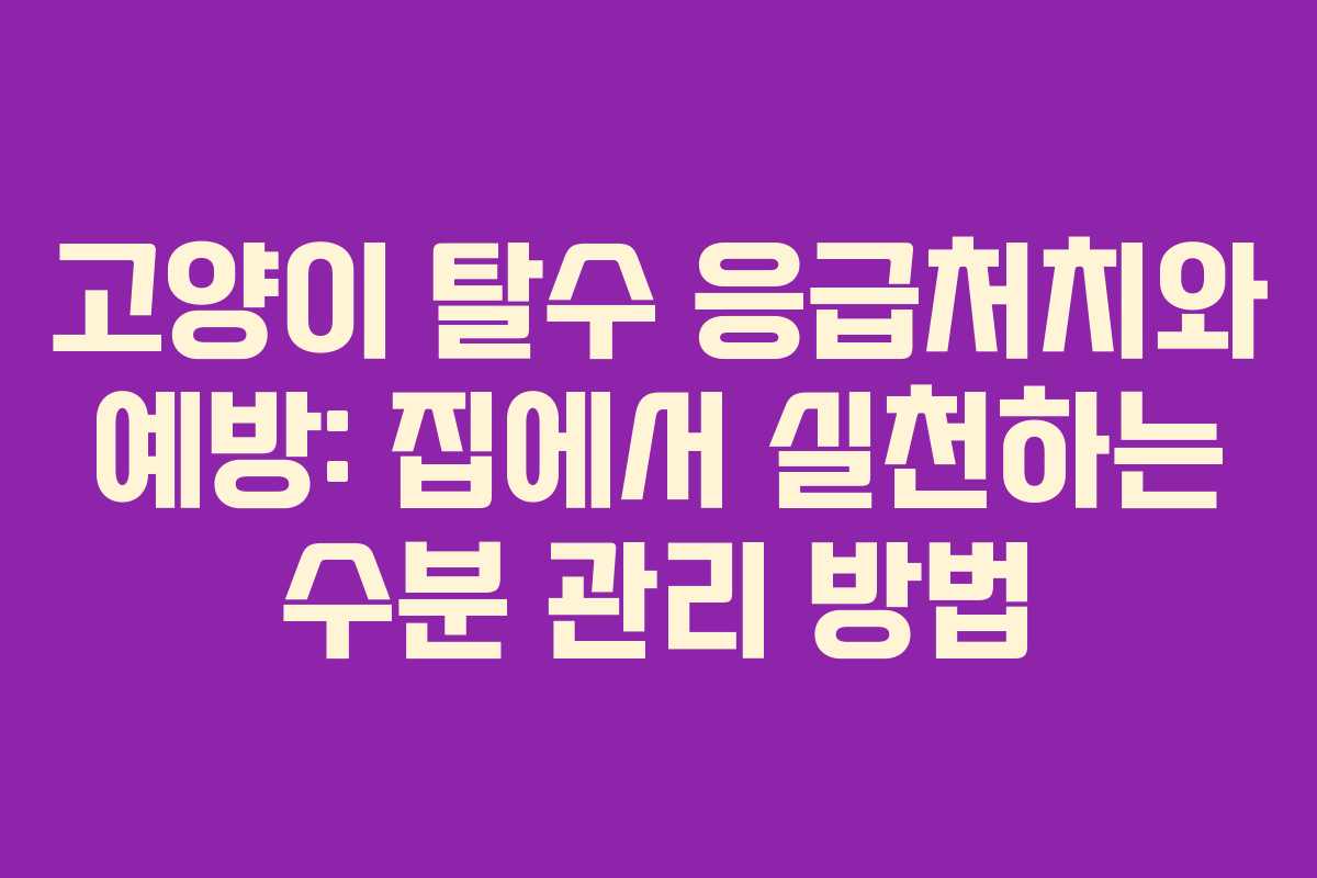 고양이 탈수 응급처치와 예방: 집에서 실천하는 수분 관리 방법