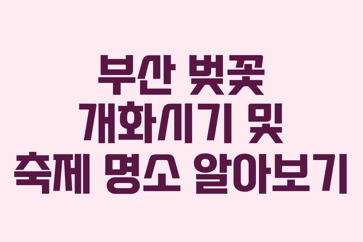 부산 벚꽃 개화시기 및 축제 명소 알아보기