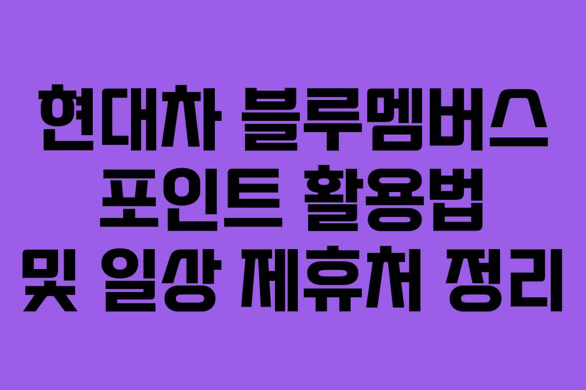 현대차 블루멤버스 포인트 활용법 및 일상 제휴처 정리