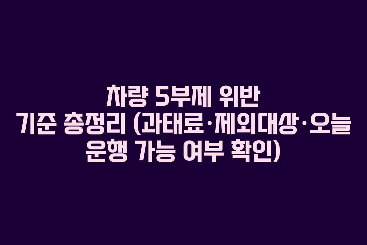 차량 5부제 위반 기준 총정리 (과태료·제외대상·오늘 운행 가능 여부 확인)