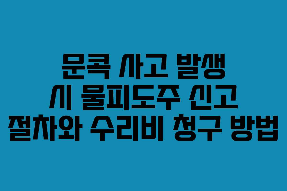 문콕 사고 발생 시 물피도주 신고 절차와 수리비 청구 방법