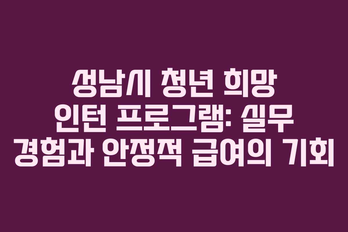 성남시 청년 희망 인턴 프로그램: 실무 경험과 안정적 급여의 기회