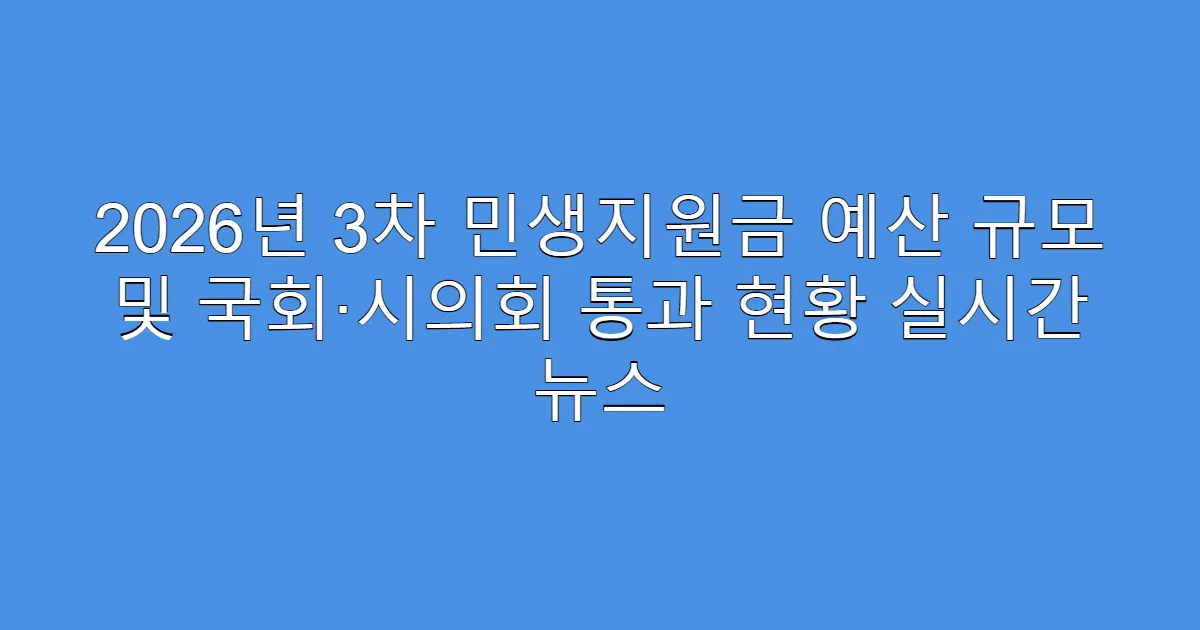 2026년 3차 민생지원금 예산 규모 및 국회·시의회 통과 현황 실시간 뉴스
