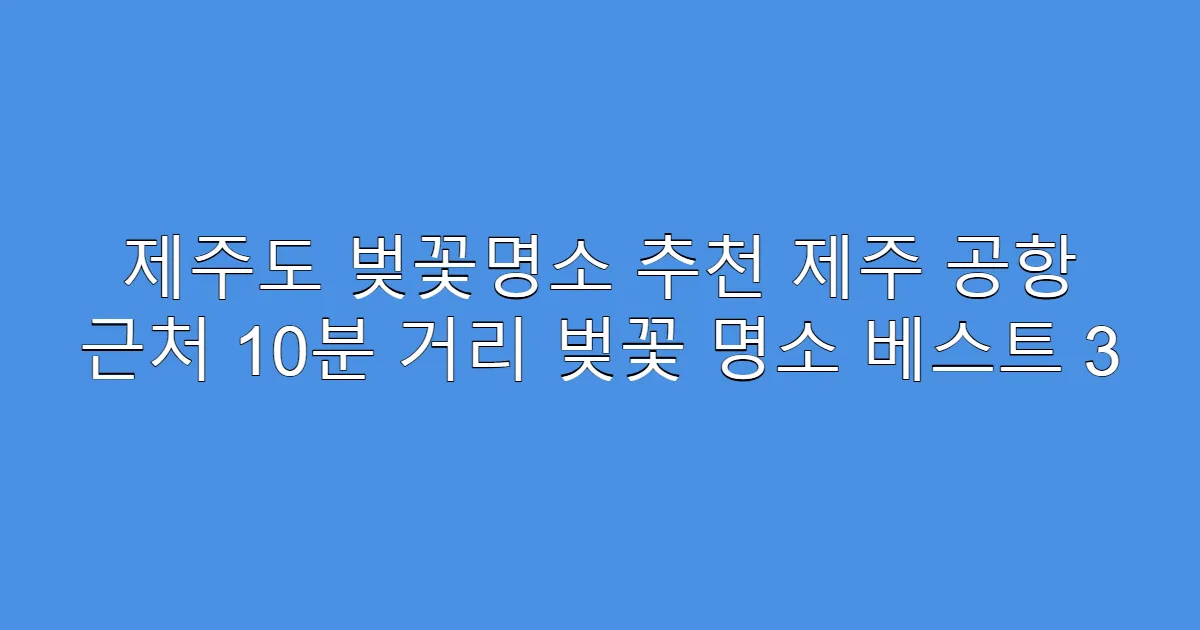 제주도 벚꽃명소 추천 제주 공항 근처 10분 거리 벚꽃 명소 베스트 3