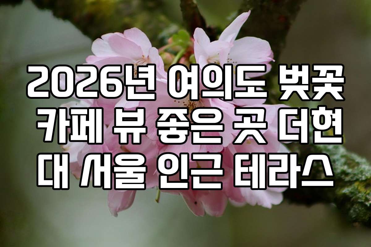 2026년 여의도 벚꽃 카페 뷰 좋은 곳 더현대 서울 인근 테라스