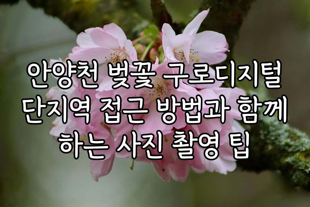 안양천 벚꽃 구로디지털단지역 접근 방법과 함께하는 사진 촬영 팁