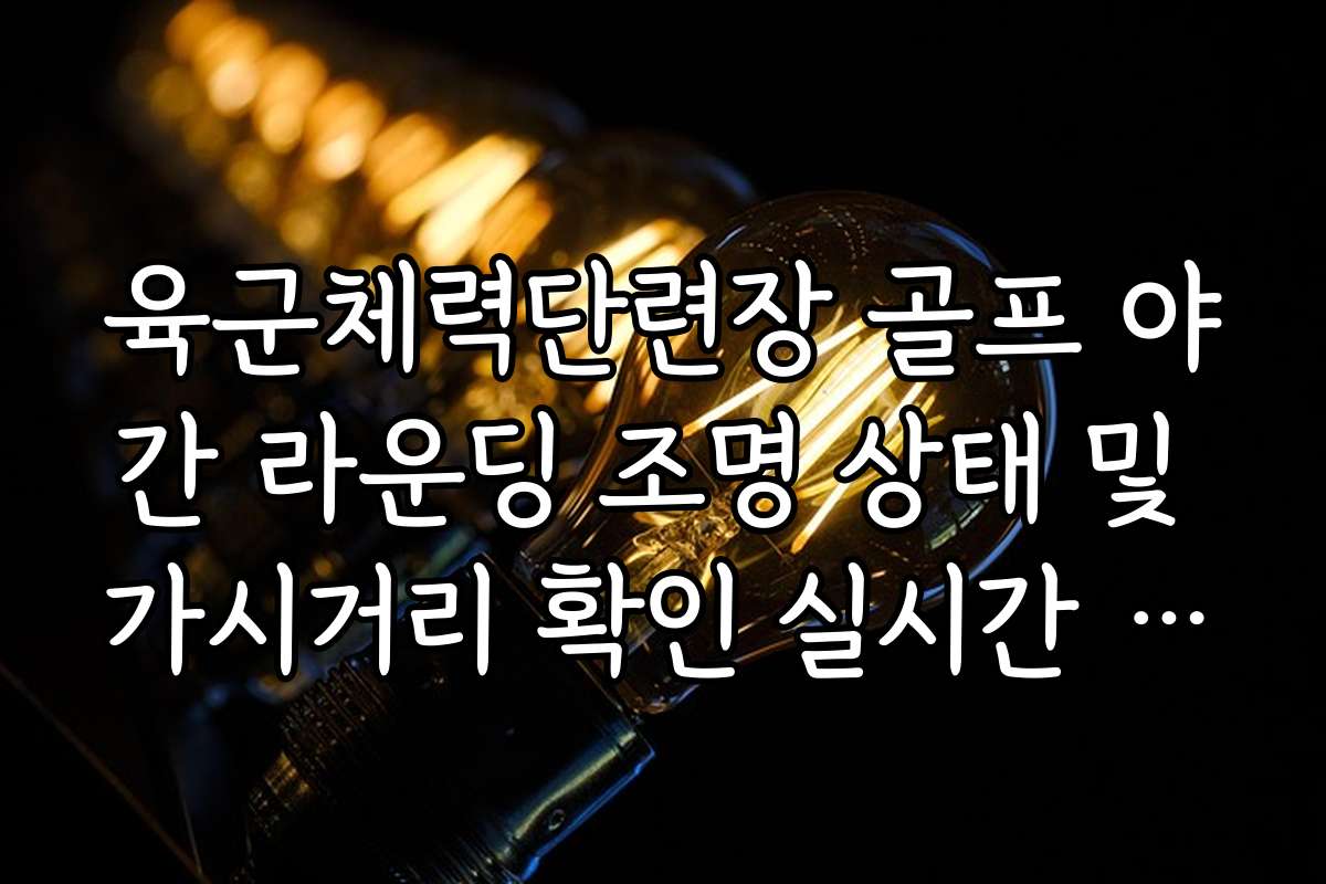 육군체력단련장 골프 야간 라운딩 조명 상태 및 가시거리 확인 실시간 데이터