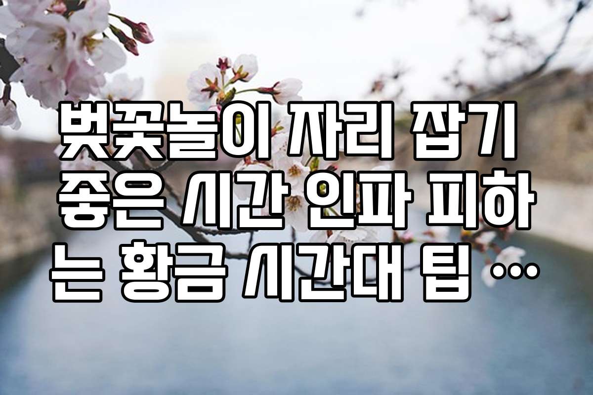 벚꽃놀이 자리 잡기 좋은 시간 인파 피하는 황금 시간대 팁 5가지