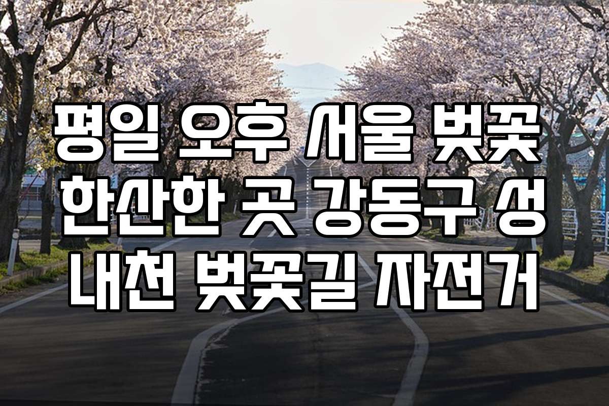 평일 오후 서울 벚꽃 한산한 곳 강동구 성내천 벚꽃길 자전거