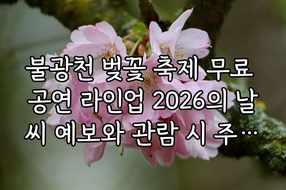 불광천 벚꽃 축제 무료 공연 라인업 2026의 날씨 예보와 관람 시 주의사항