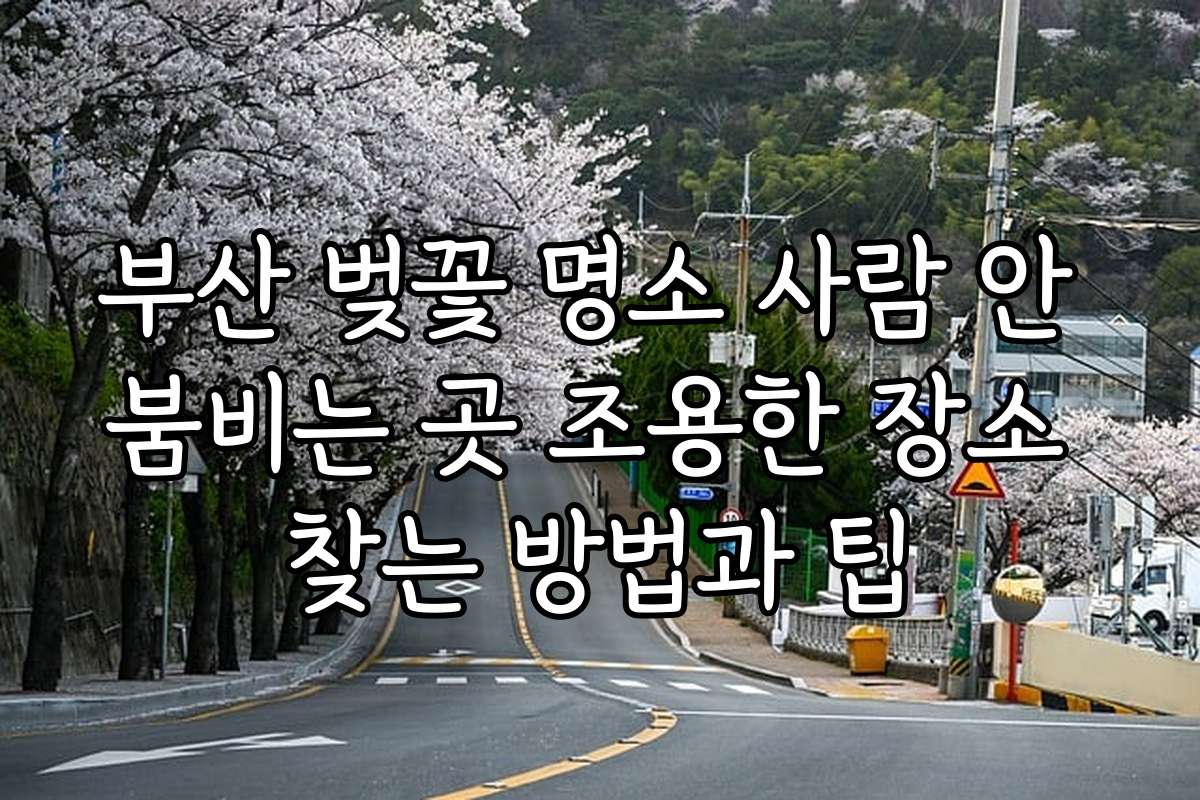 부산 벚꽃 명소 사람 안 붐비는 곳 조용한 장소 찾는 방법과 팁