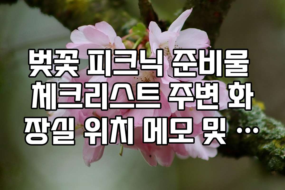 벚꽃 피크닉 준비물 체크리스트 주변 화장실 위치 메모 및 공유