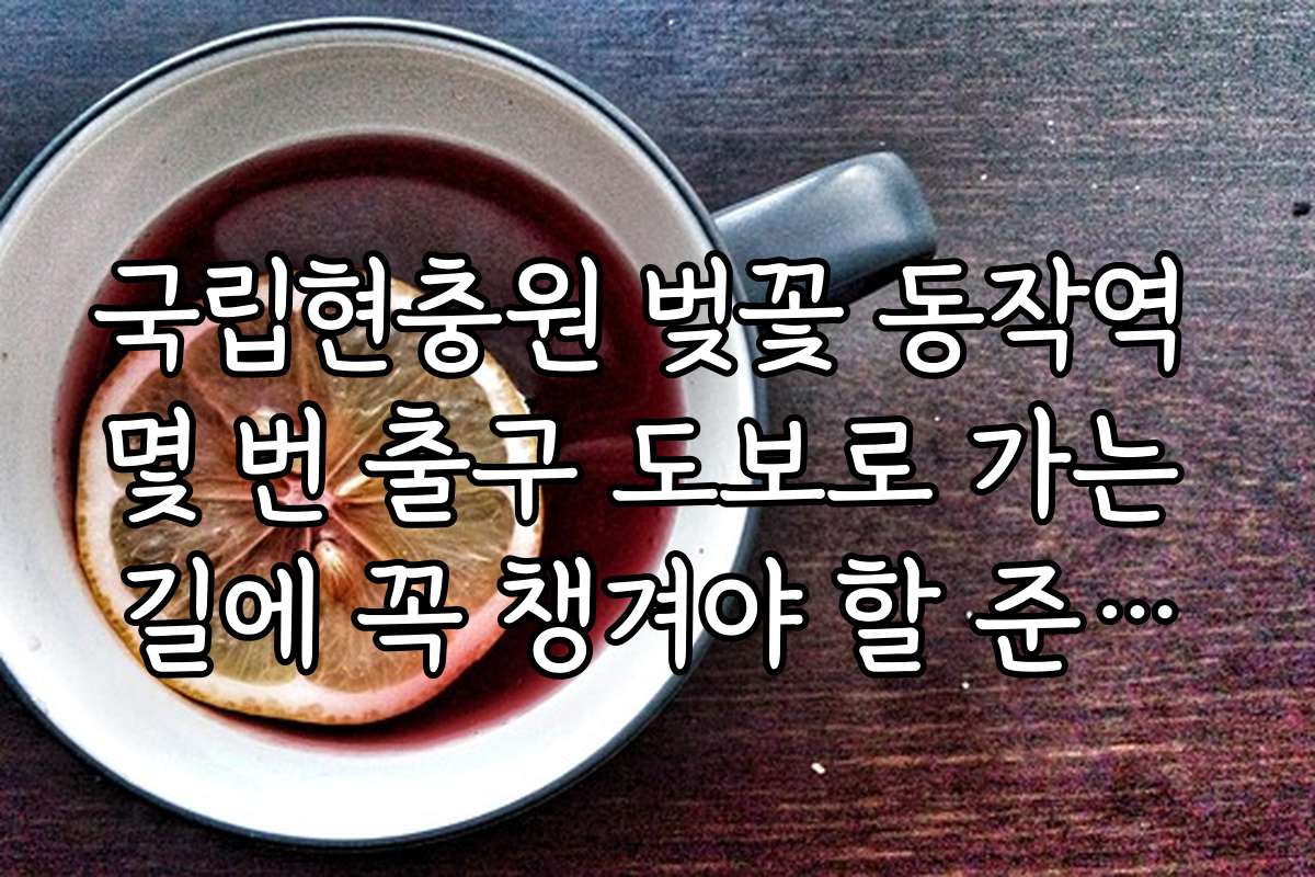 국립현충원 벚꽃 동작역 몇 번 출구 도보로 가는 길에 꼭 챙겨야 할 준비물 리스트