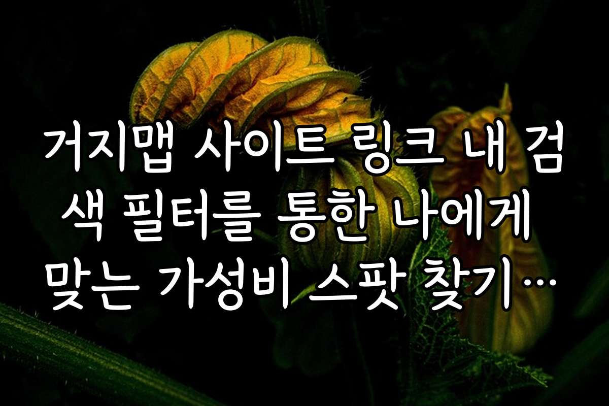 거지맵 사이트 링크 내 검색 필터를 통한 나에게 맞는 가성비 스팟 찾기 가이드
