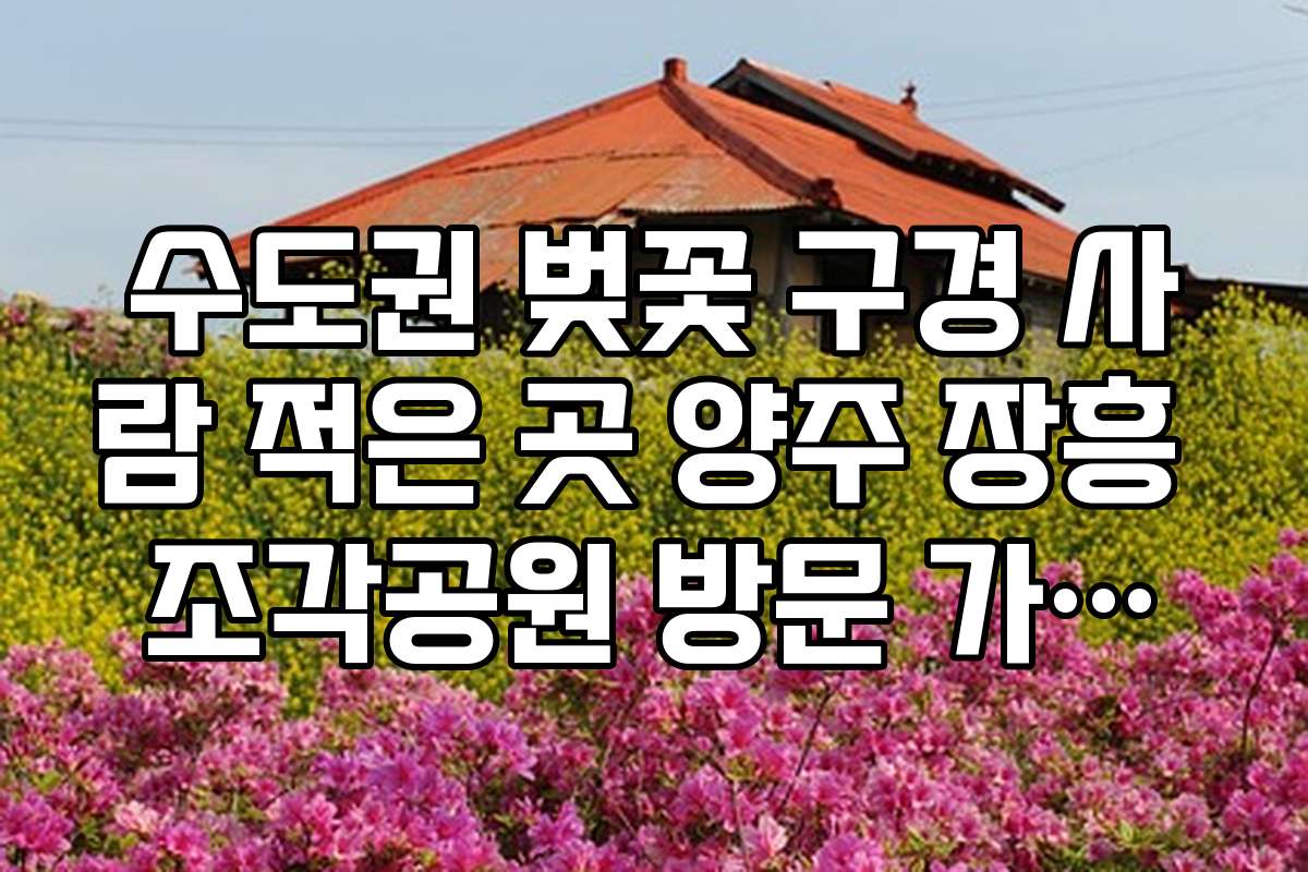 수도권 벚꽃 구경 사람 적은 곳 양주 장흥 조각공원 방문 가이드