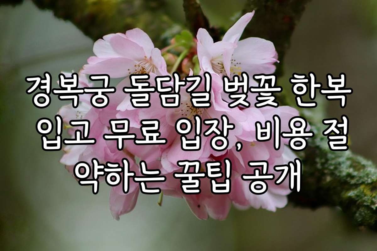 경복궁 돌담길 벚꽃 한복 입고 무료 입장, 비용 절약하는 꿀팁 공개