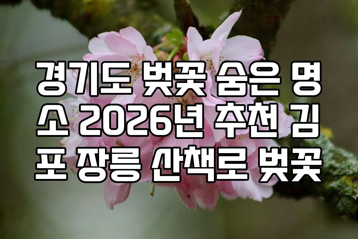 경기도 벚꽃 숨은 명소 2026년 추천 김포 장릉 산책로 벚꽃