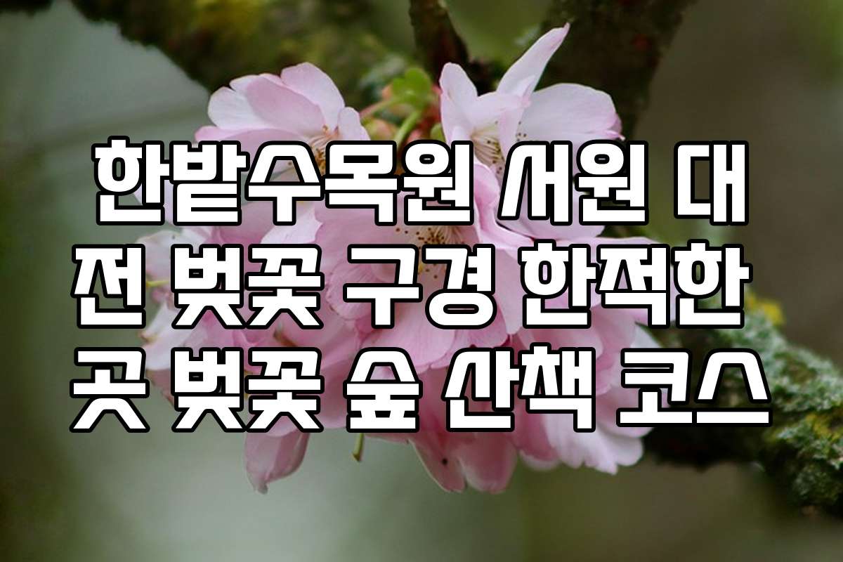 한밭수목원 서원 대전 벚꽃 구경 한적한 곳 벚꽃 숲 산책 코스