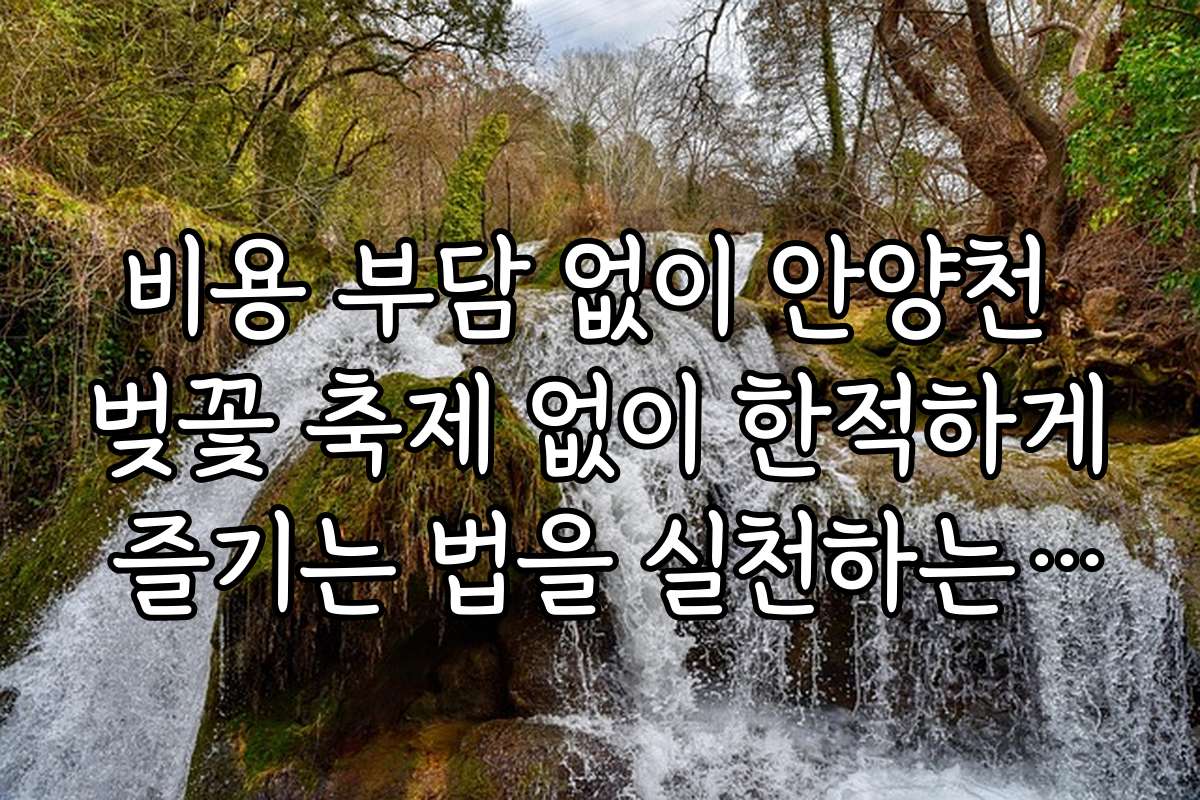 비용 부담 없이 안양천 벚꽃 축제 없이 한적하게 즐기는 법을 실천하는 방법