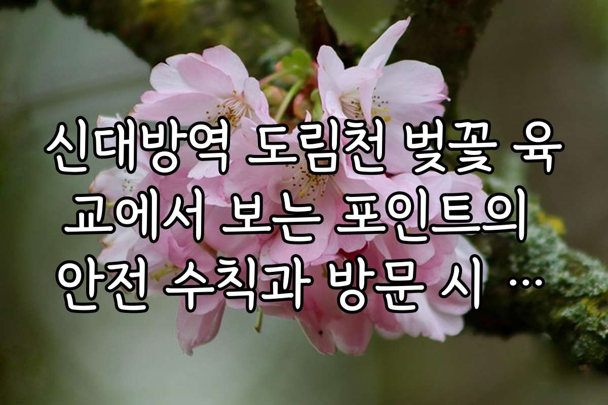 신대방역 도림천 벚꽃 육교에서 보는 포인트의 안전 수칙과 방문 시 유의사항 안내