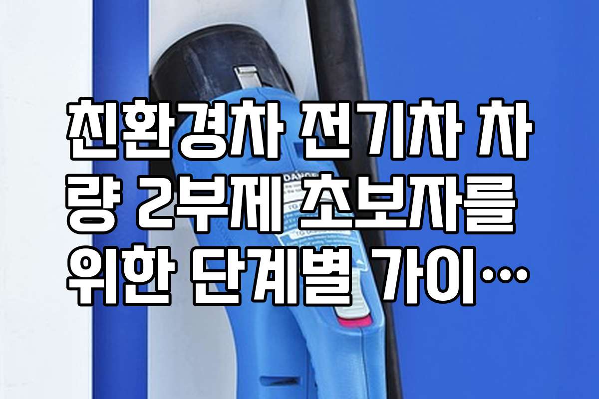 친환경차 전기차 차량 2부제 초보자를 위한 단계별 가이드와 팁을 소개한다