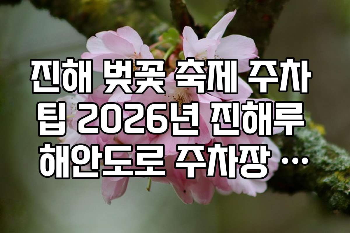 진해 벚꽃 축제 주차 팁 2026년 진해루 해안도로 주차장 이용 가이드