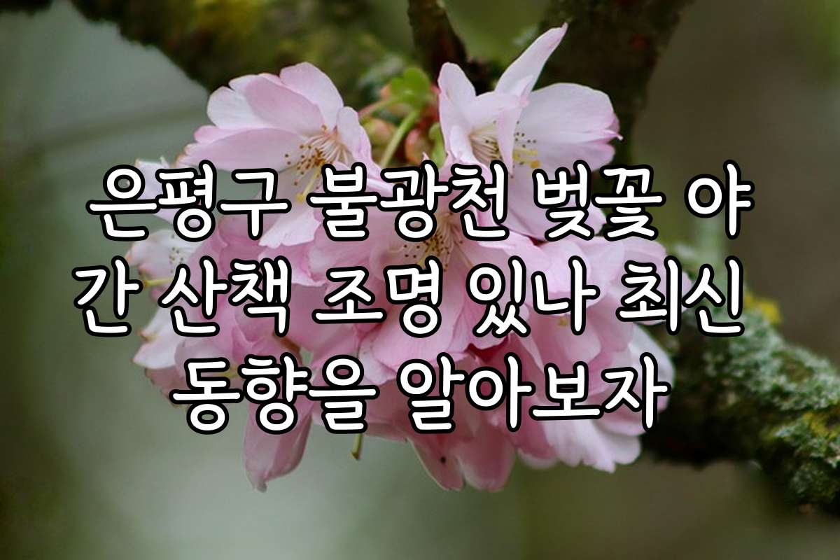 은평구 불광천 벚꽃 야간 산책 조명 있나 최신 동향을 알아보자