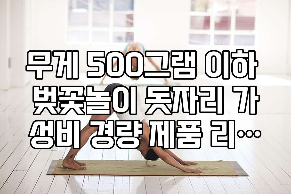 무게 500그램 이하 벚꽃놀이 돗자리 가성비 경량 제품 리스트