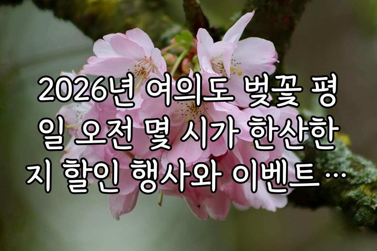 2026년 여의도 벚꽃 평일 오전 몇 시가 한산한지 할인 행사와 이벤트 일정도 참고하세요