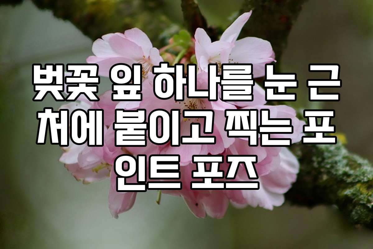 벚꽃 잎 하나를 눈 근처에 붙이고 찍는 포인트 포즈