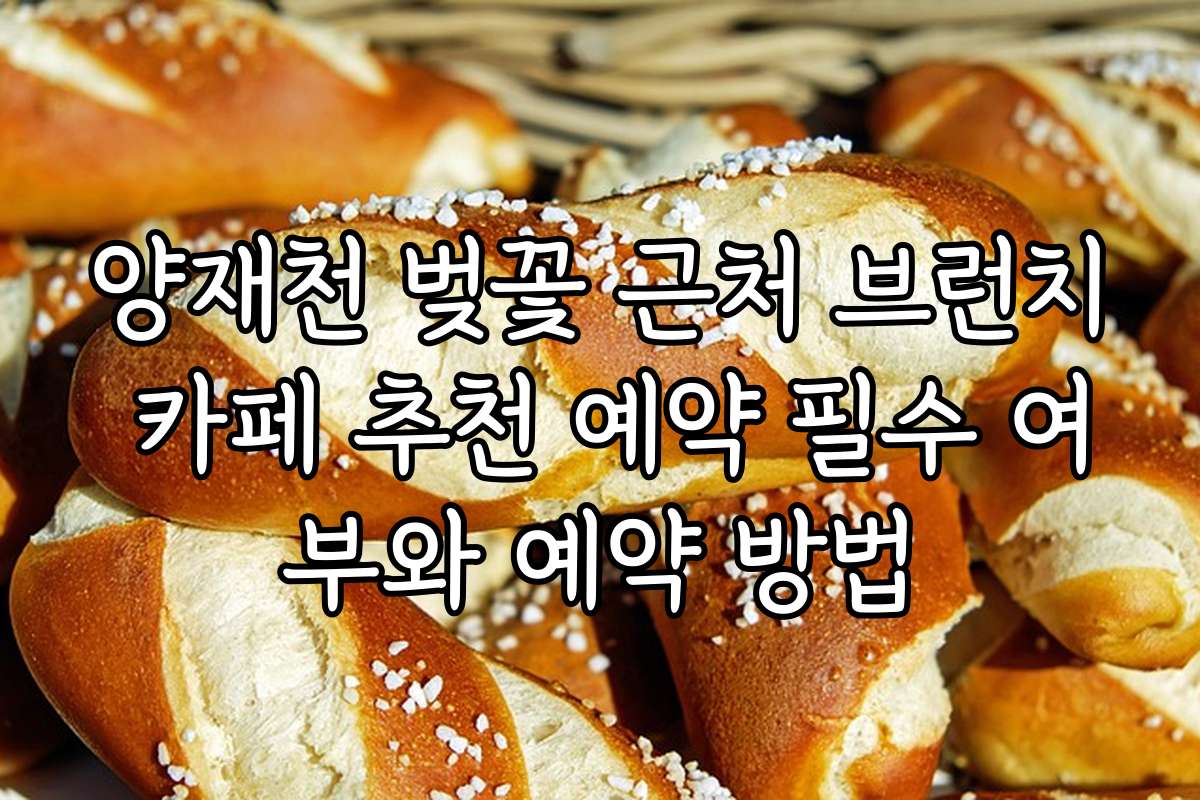 양재천 벚꽃 근처 브런치 카페 추천 예약 필수 여부와 예약 방법