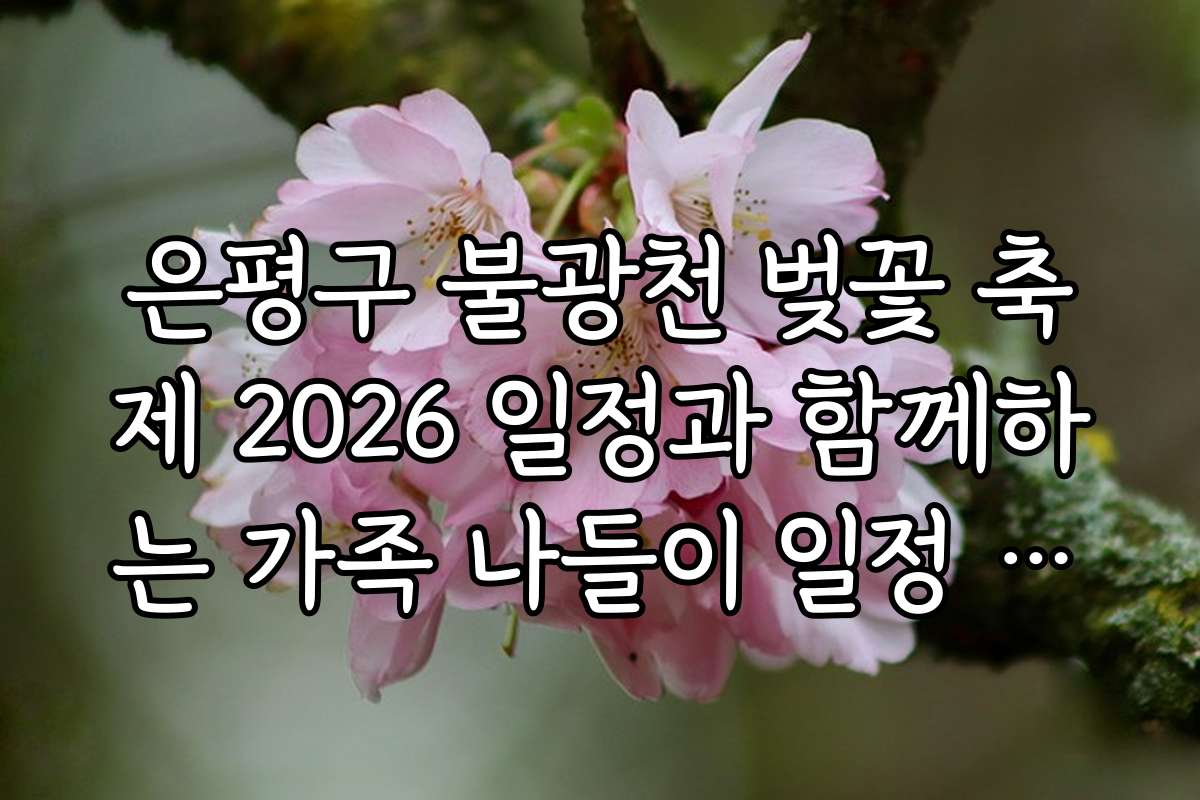 은평구 불광천 벚꽃 축제 2026 일정과 함께하는 가족 나들이 일정 추천