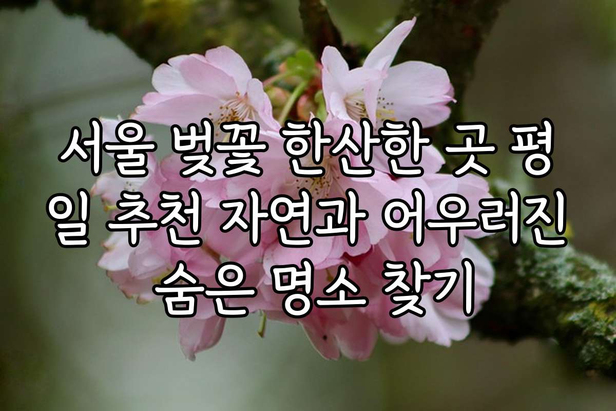 서울 벚꽃 한산한 곳 평일 추천 자연과 어우러진 숨은 명소 찾기