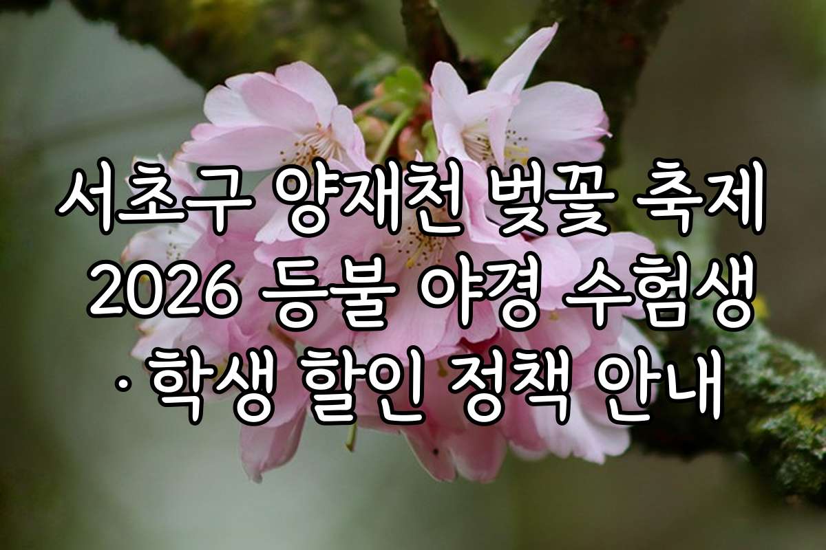 서초구 양재천 벚꽃 축제 2026 등불 야경 수험생·학생 할인 정책 안내