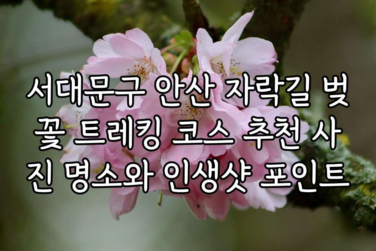 서대문구 안산 자락길 벚꽃 트레킹 코스 추천 사진 명소와 인생샷 포인트