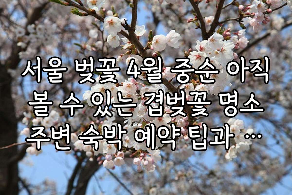 서울 벚꽃 4월 중순 아직 볼 수 있는 겹벚꽃 명소 주변 숙박 예약 팁과 할인 정보