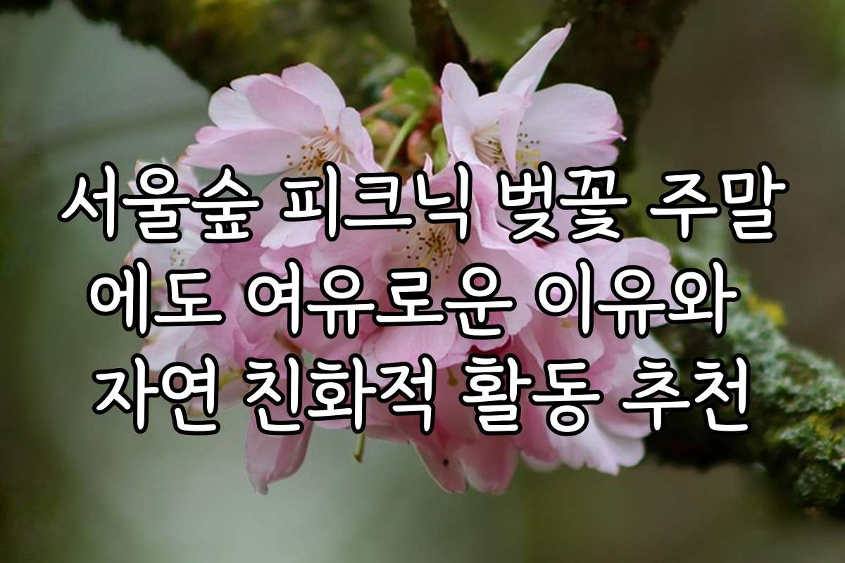 서울숲 피크닉 벚꽃 주말에도 여유로운 이유와 자연 친화적 활동 추천