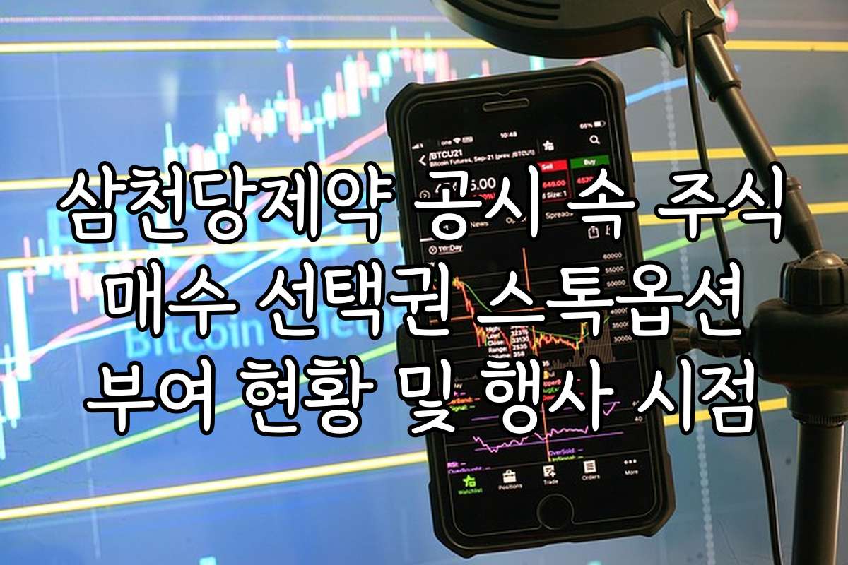삼천당제약 공시 속 주식 매수 선택권 스톡옵션 부여 현황 및 행사 시점
