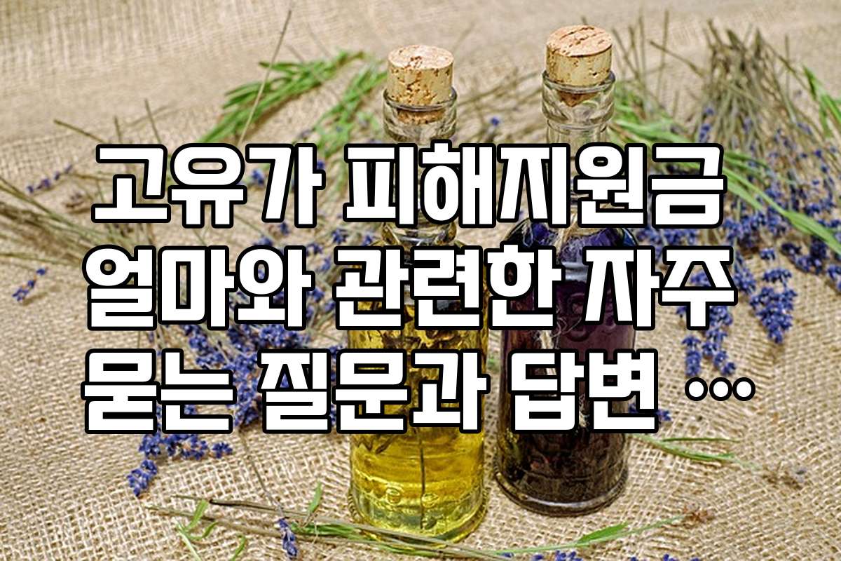 고유가 피해지원금 얼마와 관련한 자주 묻는 질문과 답변 정리