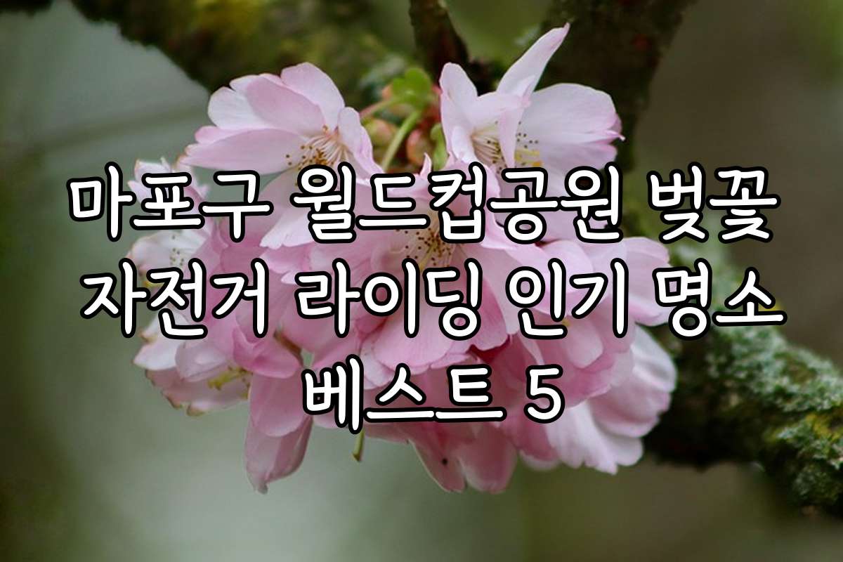 마포구 월드컵공원 벚꽃 자전거 라이딩 인기 명소 베스트 5